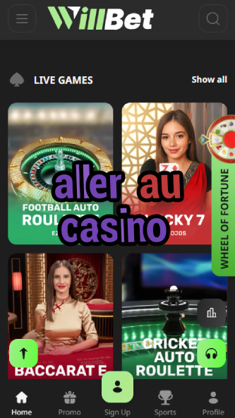 Aller Au Casino - French Casino Guide-casinodogs.ydblkf.net